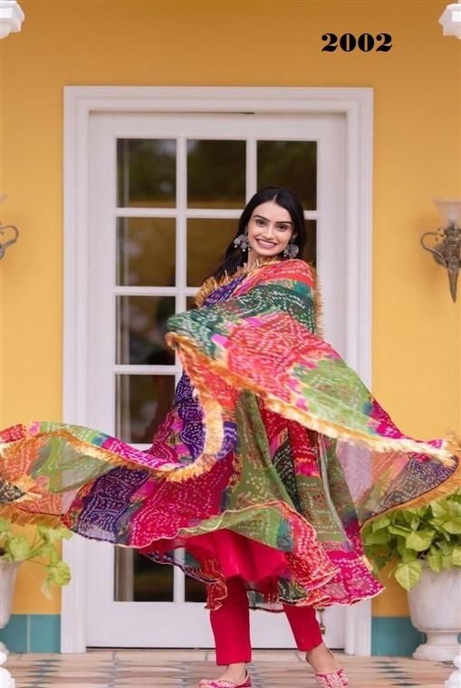 Gangour Nx Multipul Colourful Dupatta With Maxy Gown Catalog